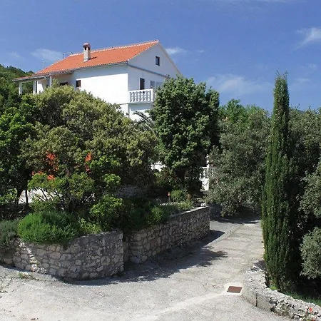 Apartment Uvala Zarace 4597c