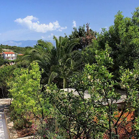 Uvala Zarace 4597c Apartment